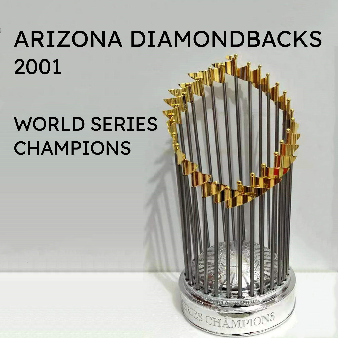 Arizona Diamondbacks 2001 World Series Champions